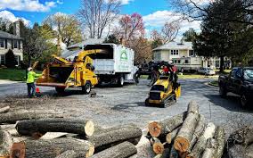 Best Soil Testing and Treatment  in Bloomington, MN
